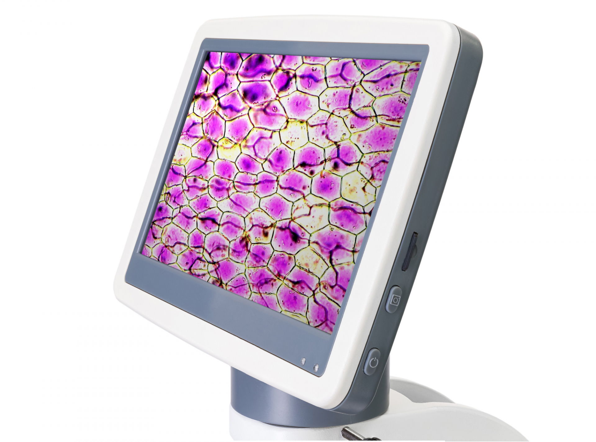 Цифров микроскоп Levenhuk D85L LCD Цифров микроскоп Levenhuk D85L LCD - Image 6